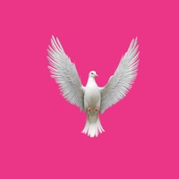 The Loyal Dove - SCARFLY