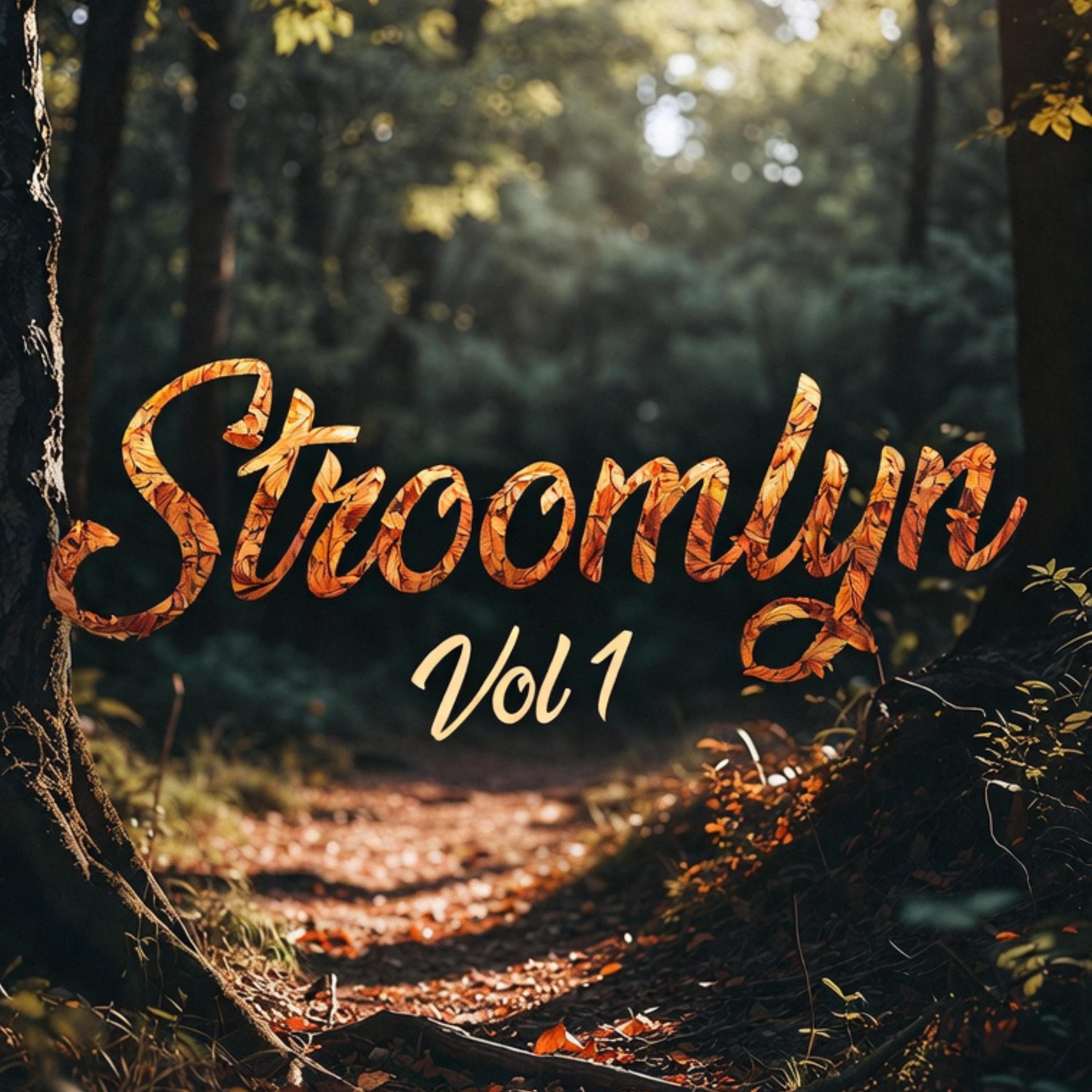 Stroomlyn, Vol. 1 - EP