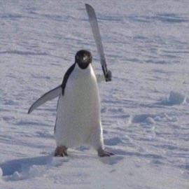 siamo sullo snowboard Eks