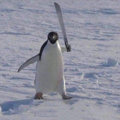 siamo sullo snowboard - Single