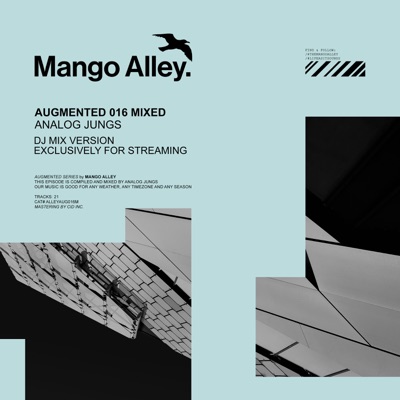 Augmented 016 / Analog Jungs (DJ Mix)