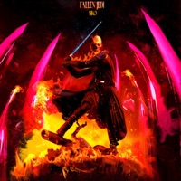 FALLEN JEDI - Single - siko