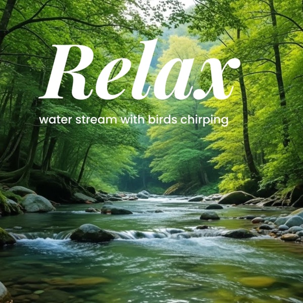 Zen Forest Escape_ Calming Stream & Bird Sounds for Stress Relief
