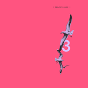 3 - Principleasure