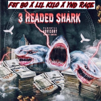 3 Headed Shark (feat. Lil Kilo & Ynd Rage) - Single