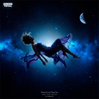 Free to Let You Go (feat. Ashley Potter) - Single - Primax, SorraB & Music Total