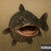 СОМ - Single - st1llyoung