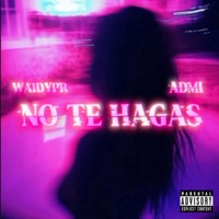 NO TE HAGAS (feat. ADMI) - Single - Waidypr