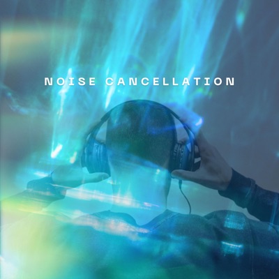 Noise Cancellation - Single