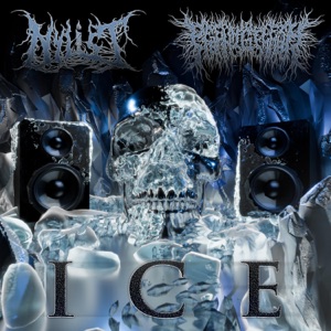 Ice