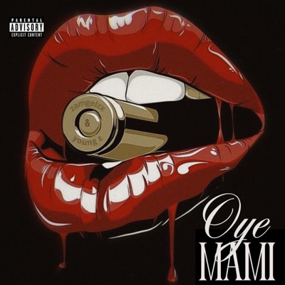 OYE MAMI (feat. Young Z) - Single