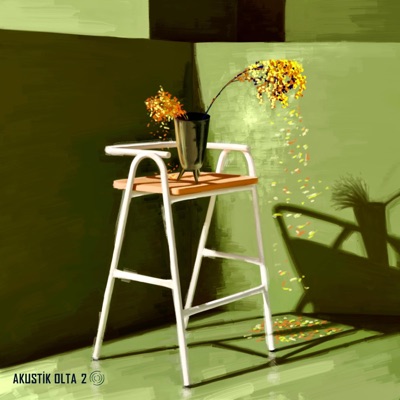 Olta 12  Akustik II