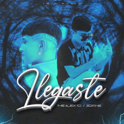 Llegaste (feat. Zidane) - Single