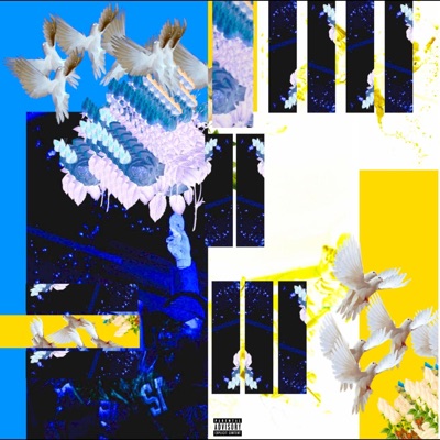 SILK DELUXE