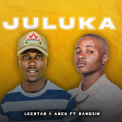 Juluka (feat. Asey & Sangzin) - Single