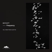 Frequency - EP - Boycott & Slow Ted