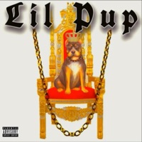 Pup - Single - Hardhead Da BOI