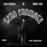 ECHO CHAMBER (feat. ROMA JONSON) - Single - PERCYBONES & Hara-Kiri