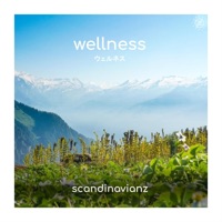 Wellness - Single - Scandinavianz