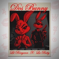 Dos Bunny - Single - Lil Brayann & La Baby