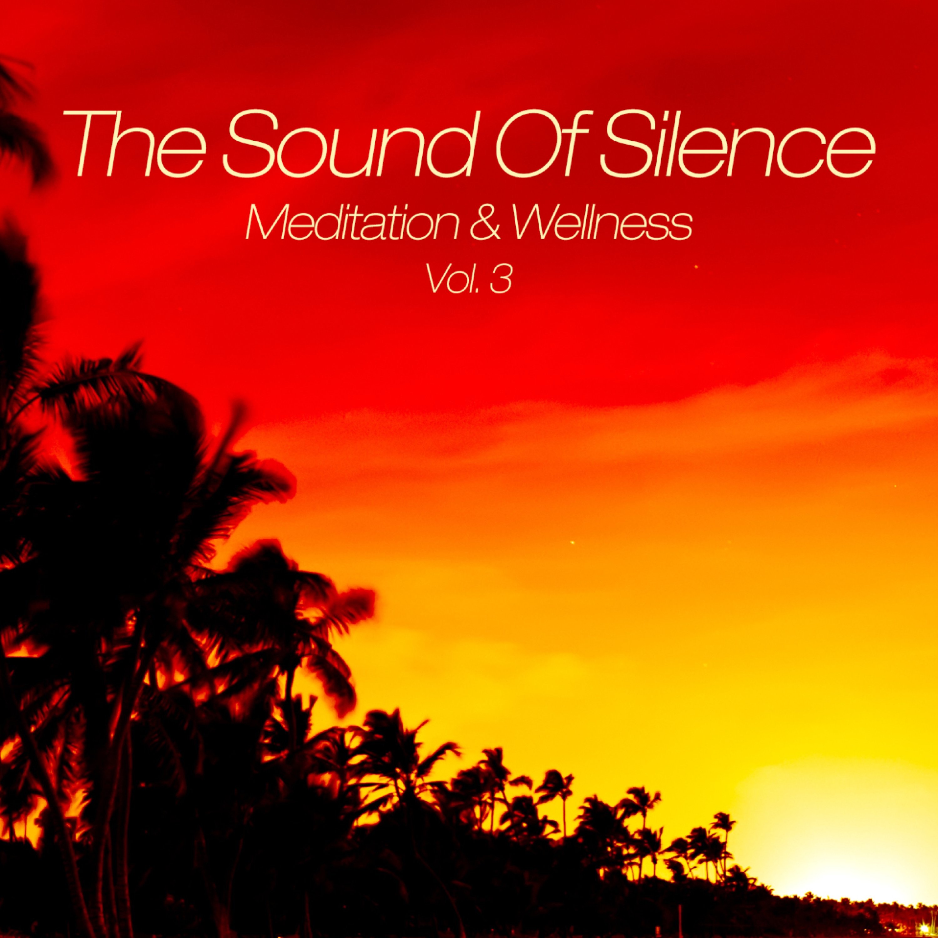 The Sound of Silence (Meditation & Wellness), Vol. 3