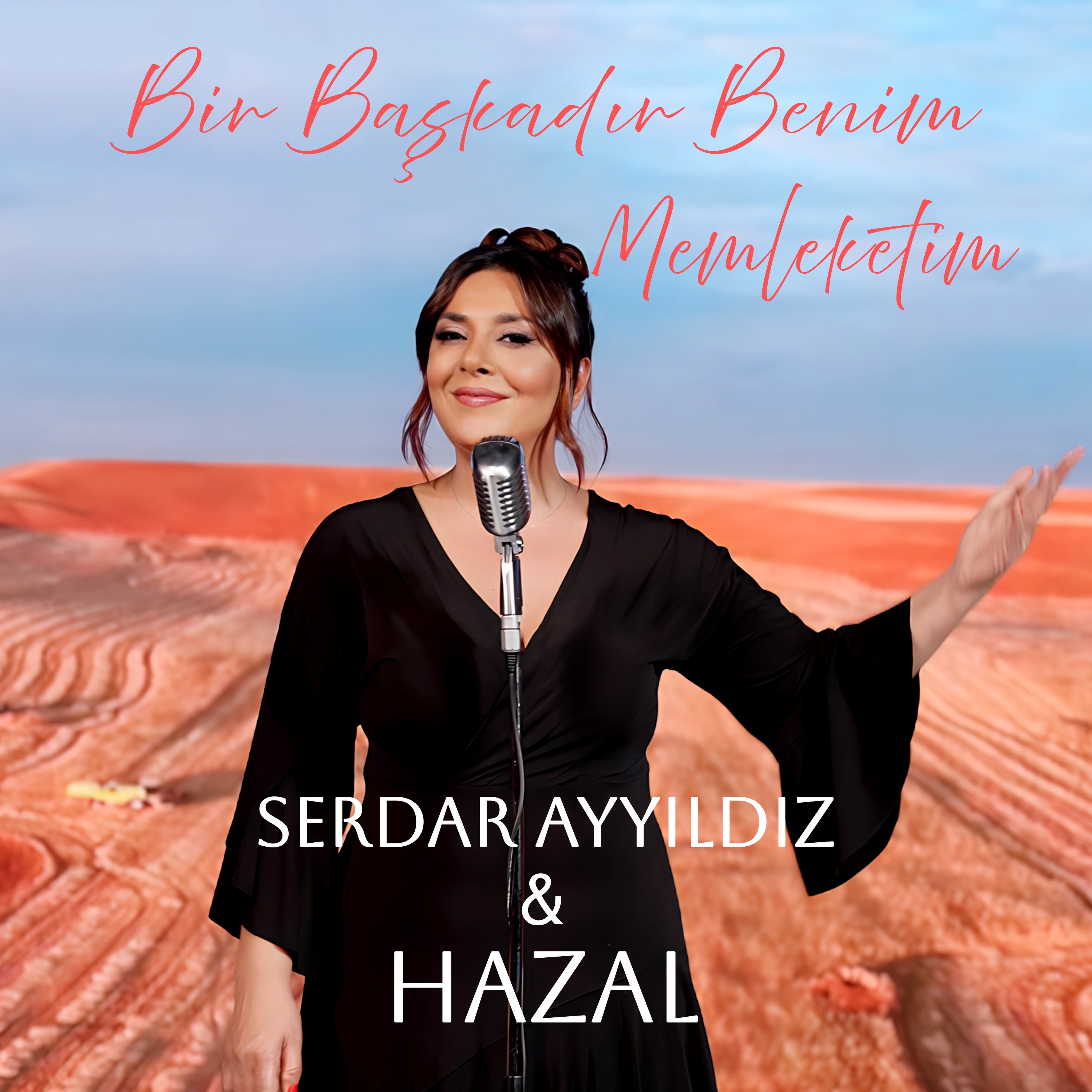 Bir Başkadır Benim Memleketim - Single