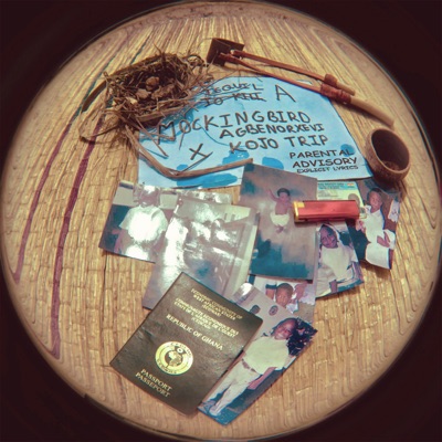 Tequila Mockingbird - Single