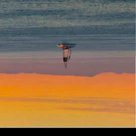 ROLLWITHME Liam Loud