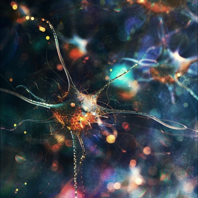 Healing / Sacred Emotion (639 Hz) - Single