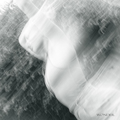 Wonder. (feat. Rhi The Curious & B3nji) - Single
