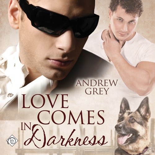 Love Comes in Darkness (Unabridged) cover