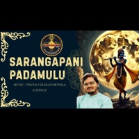 SARANGAPANI PADAMULU - Pavan Charan