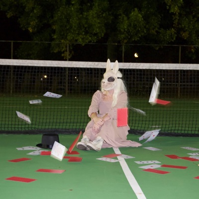 butterflies (liddell)