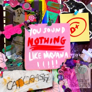 You Sound Nothing Like Nirvana - Single