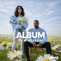 Album cover for Rnboi-tu m'as trahi by james derulo