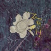 song-cover