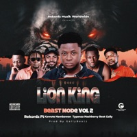 Lion King (Beast Mode) (feat. Kawute, Nambawan, Typanza, Nashberry & Best Gally) - Single - Rekordz Gh