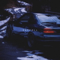 Skyfall - Single - VLNRKS