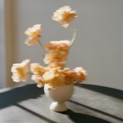 le printemps - Single