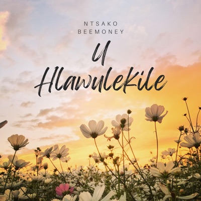 U Hlawulekile - Single