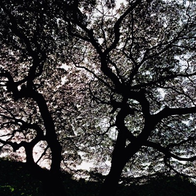 Skin (feat. kairu) - Single