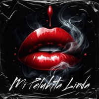 Mi Pelukita Linda - Single - La Maldita Peluca