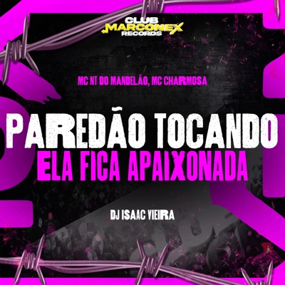 Paredão Tocando Ela Fica Apaixonada - Single