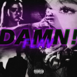 Damn! Flav