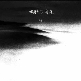 哄睡了月光 吴瑭