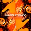 VAI AQUECENDO - Single