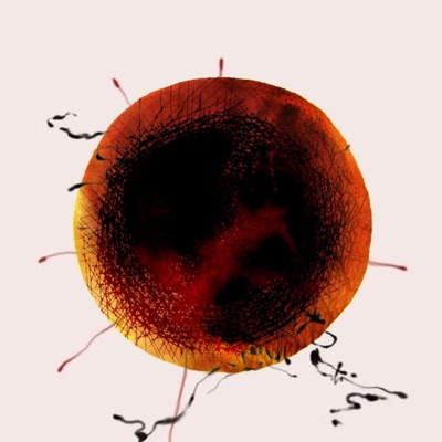 Howitgetlikethis_ - Single