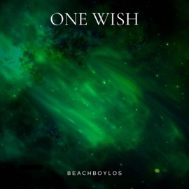 ONE WISH Beachboylos