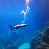 Aleverse - Acquario Ultimo