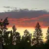 Long Way Home
